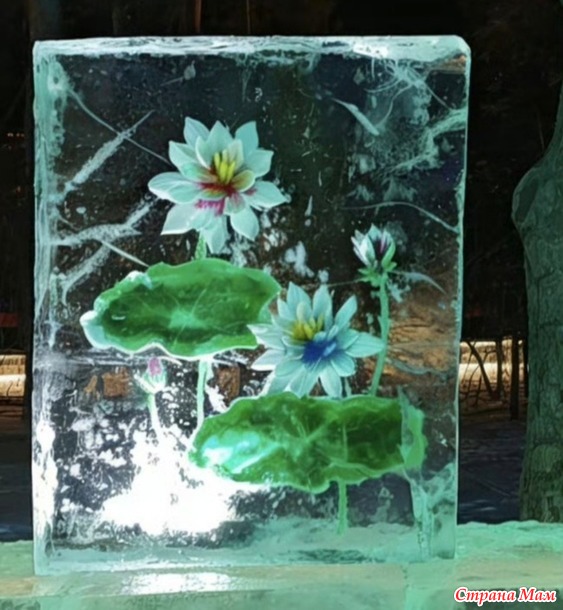 � ����������!