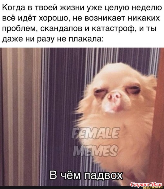 ˸ ������� � �� ���������