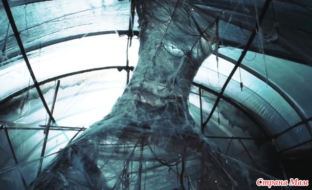 ���������� ���� ����� � ����� �� ������.