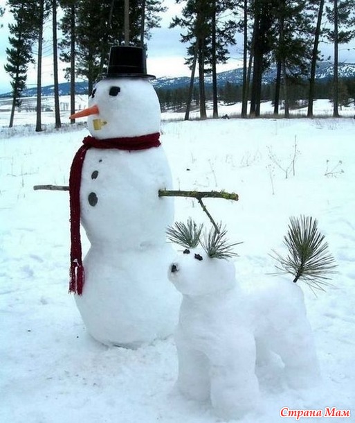 �� ����� ���������� - 8