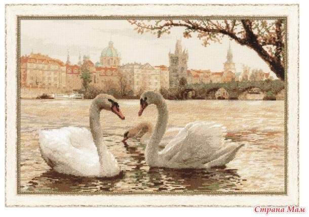 �������� ����� �����