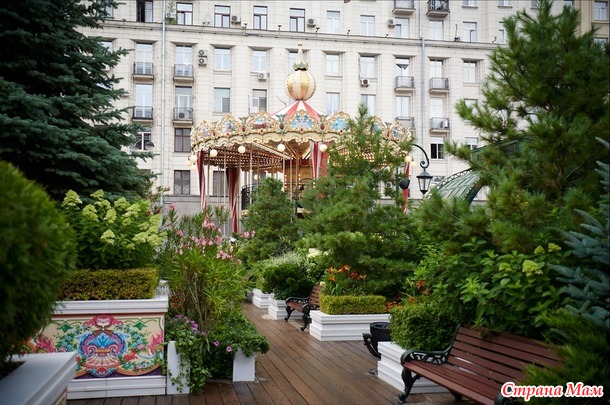 ������� ���� ����� ����