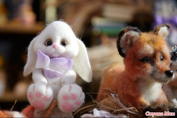 ������� ���� ����� ����