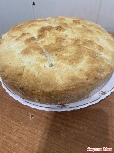 ���� ����