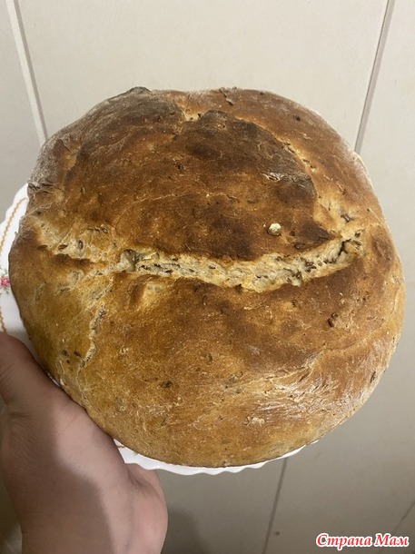 ���� ����