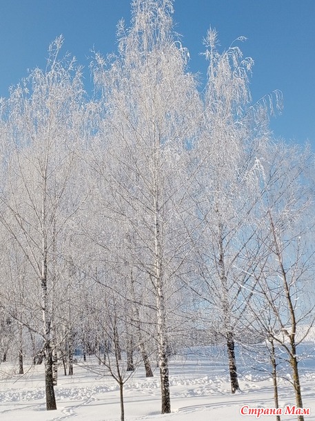 *** ������ ��������� ����������.