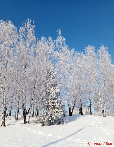 *** ������ ��������� ����������.