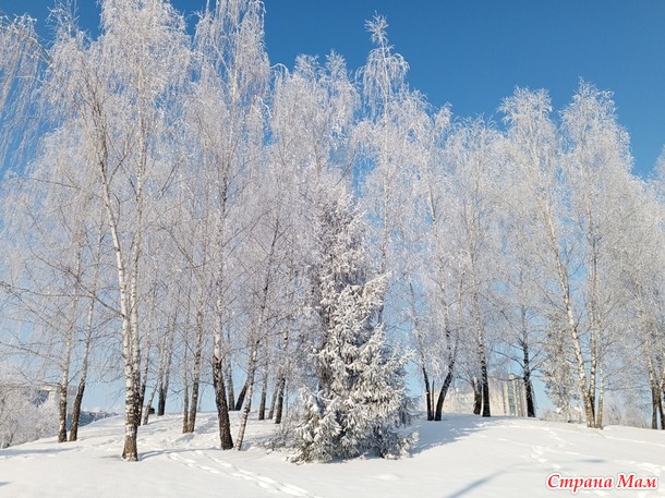 *** ������ ��������� ����������.