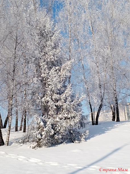 *** ������ ��������� ����������.