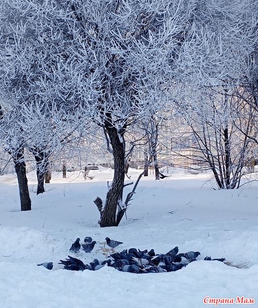 *** ������ ��������� ����������.