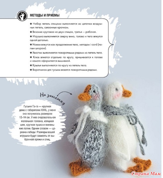 �������-2026- ������ (����-��������)