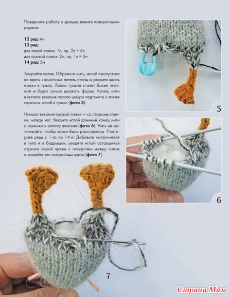 �������-2026- ������ (����-��������)