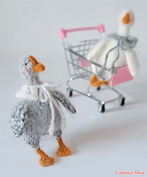 �������-2026- ������ (����-��������)