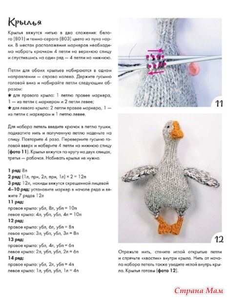 �������-2026- ������ (����-��������)