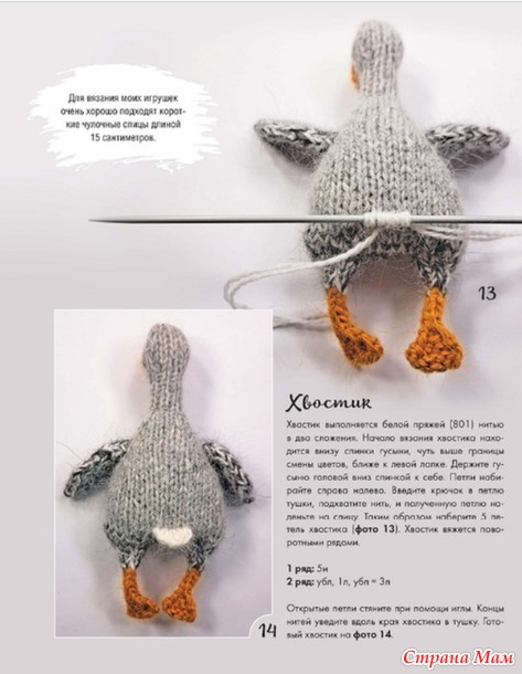 �������-2026- ������ (����-��������)