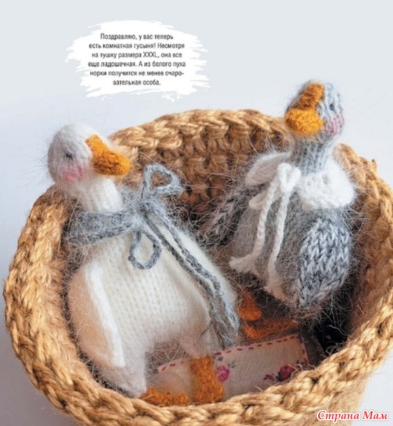 �������-2026- ������ (����-��������)