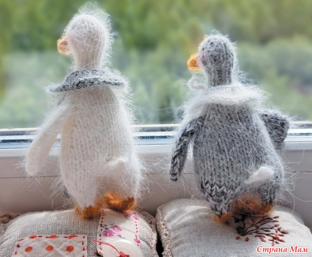 �������-2026- ������ (����-��������)