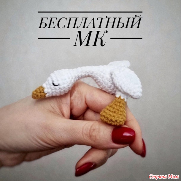 �������-2026- ������ (����-��������)