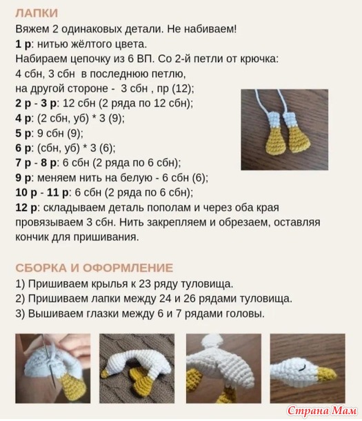 �������-2026- ������ (����-��������)