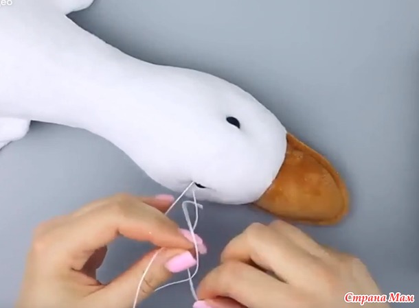 �������-2026- ������ (����-��������)