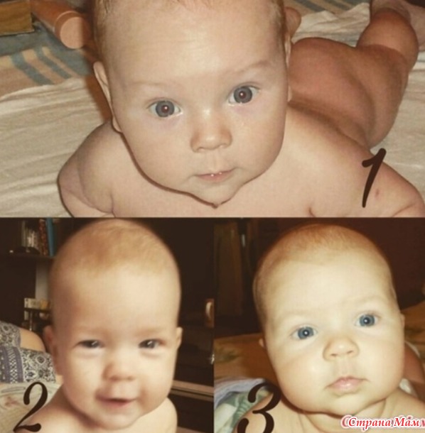 ����� 2025 ������