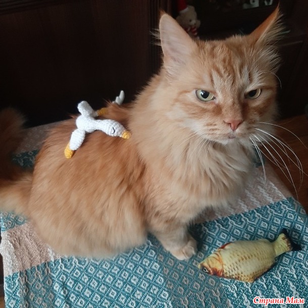 ������ - ����������