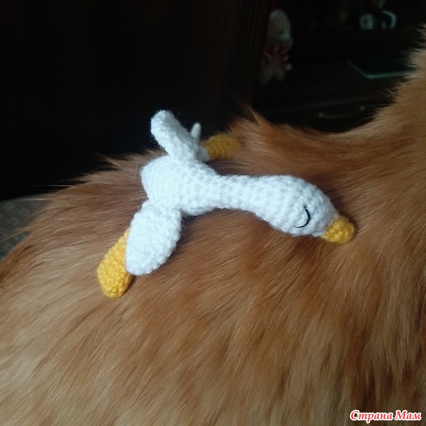 ������ - ����������