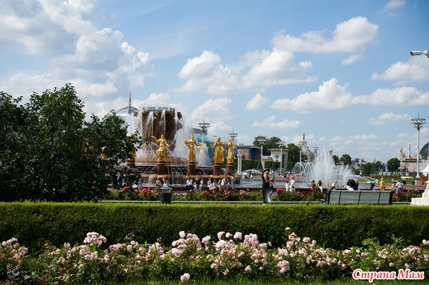 ������� ���� ����� ���� - ����