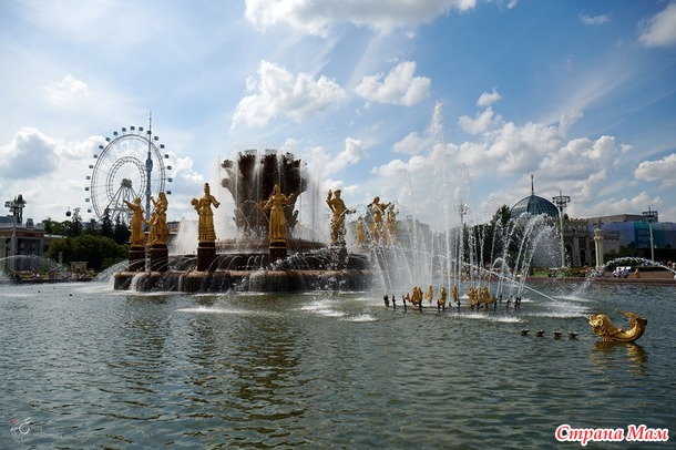 ������� ���� ����� ���� - ����