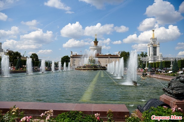 ������� ���� ����� ���� - ����