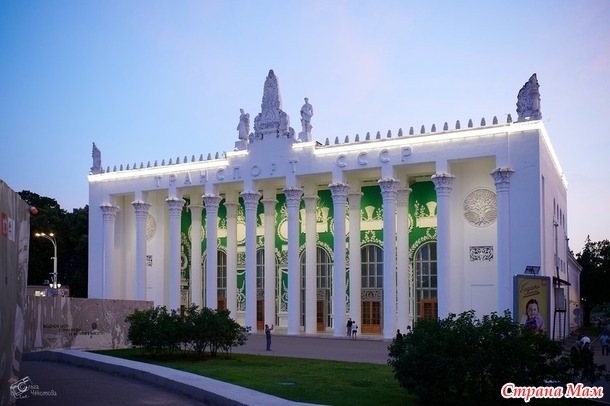 ������� ���� ����� ���� - ����