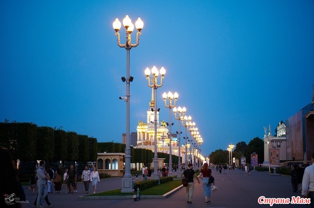 ������� ���� ����� ���� - ����