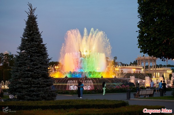 ������� ���� ����� ���� - ����