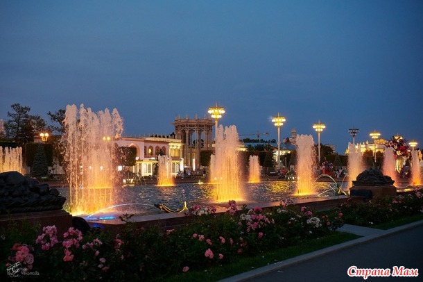 ������� ���� ����� ���� - ����