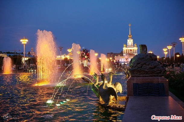 ������� ���� ����� ���� - ����