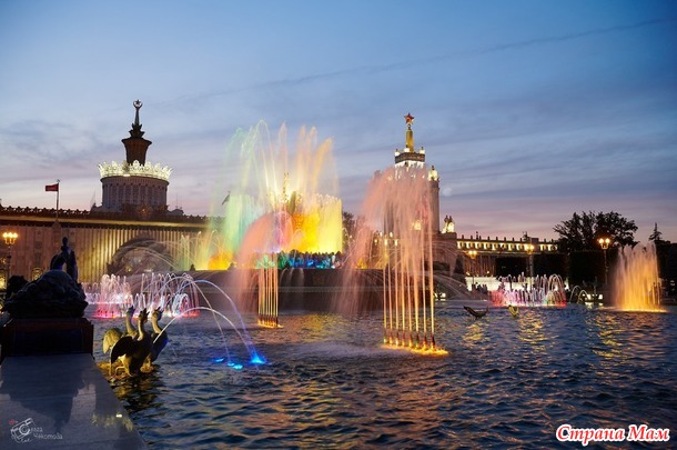 ������� ���� ����� ���� - ����