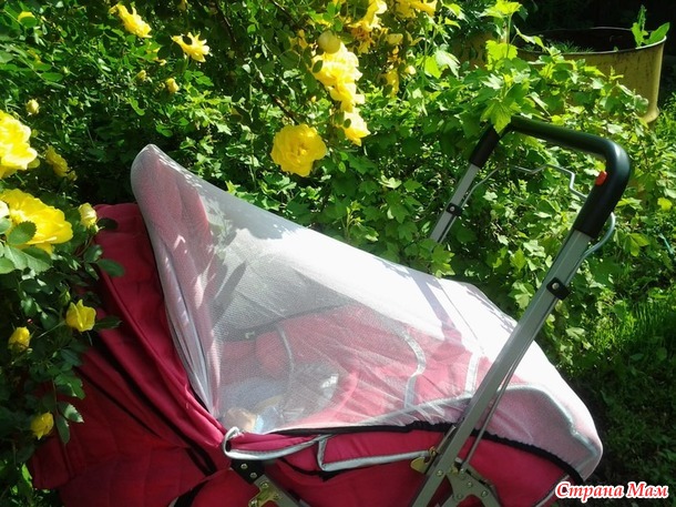 ��� ��� ����������. ����� II.