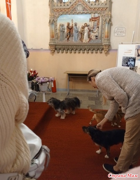 ����������� �� ��������. ���������. �. 2.