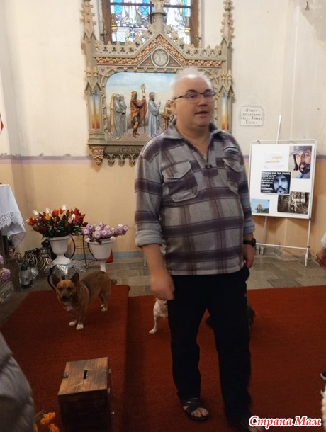 ����������� �� ��������. ���������. �. 2.