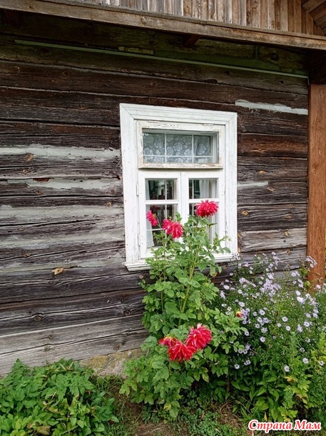 ����������� �� ��������. ���������. �. 2.