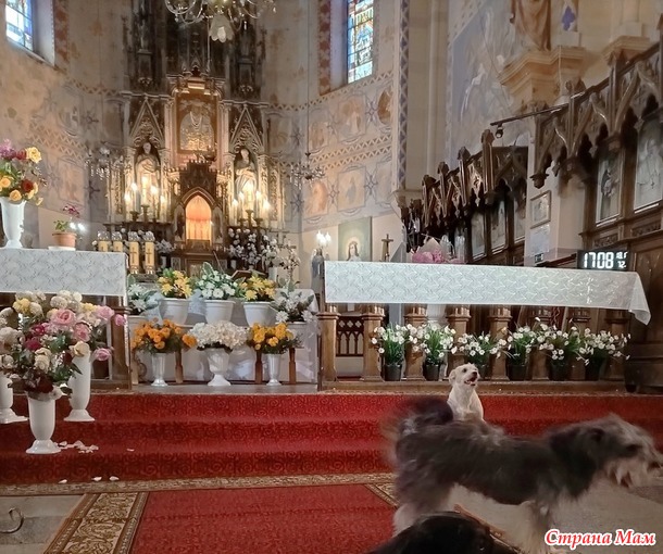 ����������� �� ��������. ���������. �. 2.