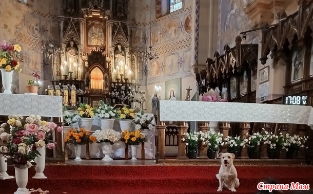 ����������� �� ��������. ���������. �. 2.