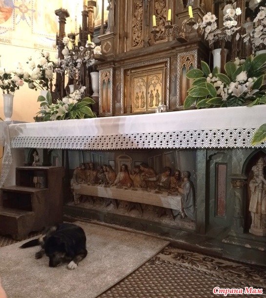 ����������� �� ��������. ���������. �. 2.