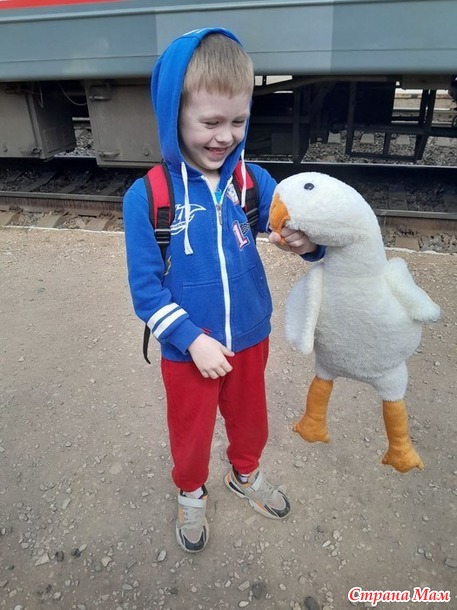 ������ - ����������