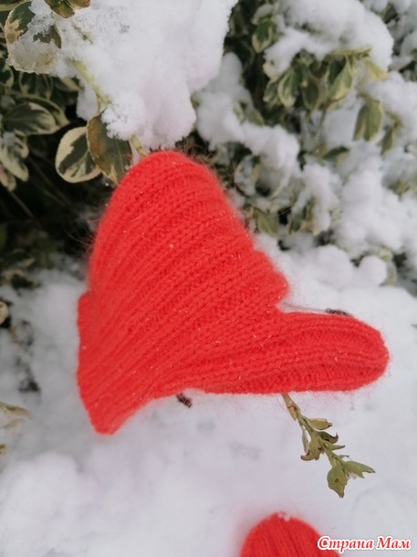 ������� ����������